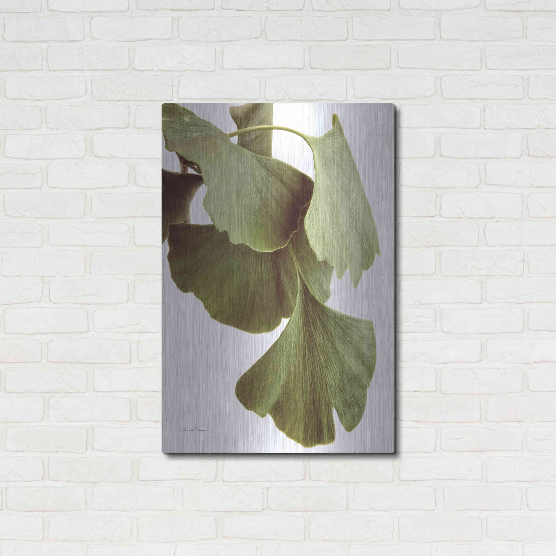 Luxe Metal Art 'Ginko Color on White' by Debra Van Swearingen, Metal Wall Art,24x36