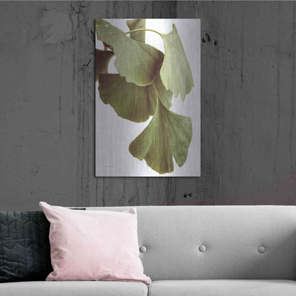 Luxe Metal Art 'Ginko Color on White' by Debra Van Swearingen, Metal Wall Art,24x36
