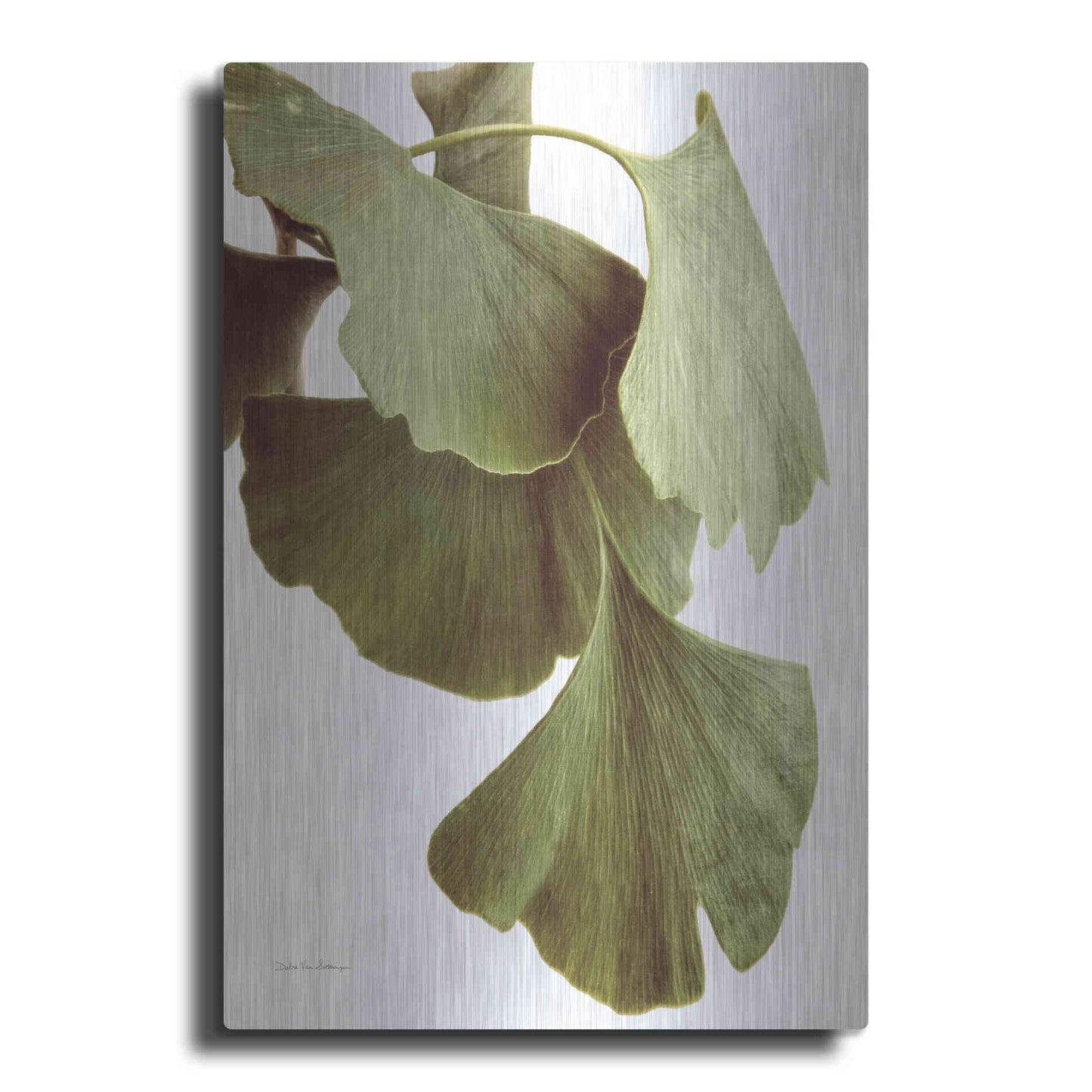 Luxe Metal Art 'Ginko Color on White' by Debra Van Swearingen, Metal Wall Art