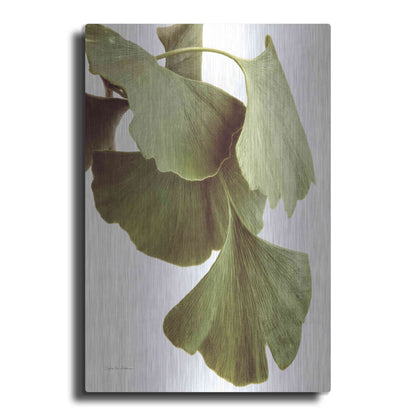 Luxe Metal Art 'Ginko Color on White' by Debra Van Swearingen, Metal Wall Art
