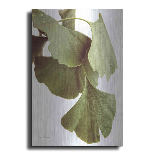 Luxe Metal Art 'Ginko Color on White' by Debra Van Swearingen, Metal Wall Art