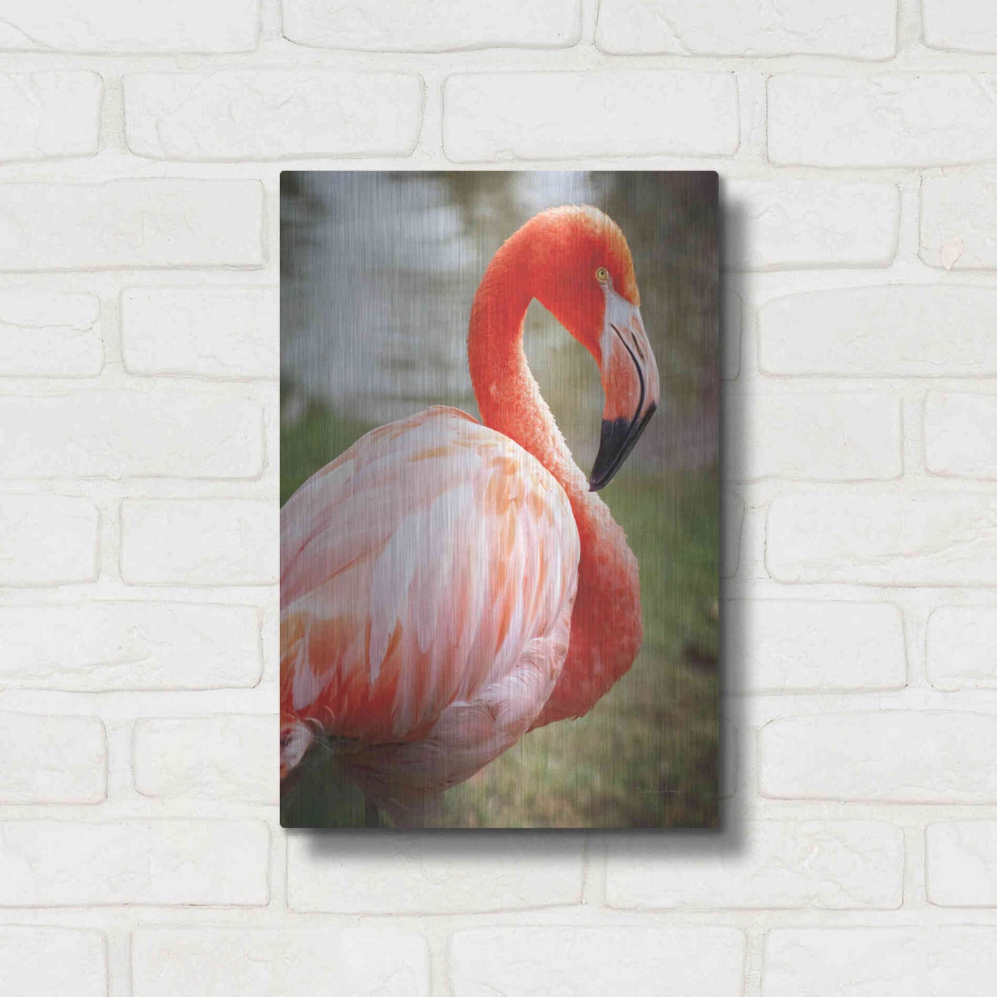 Luxe Metal Art 'Flamingo I' by Debra Van Swearingen, Metal Wall Art,12x16