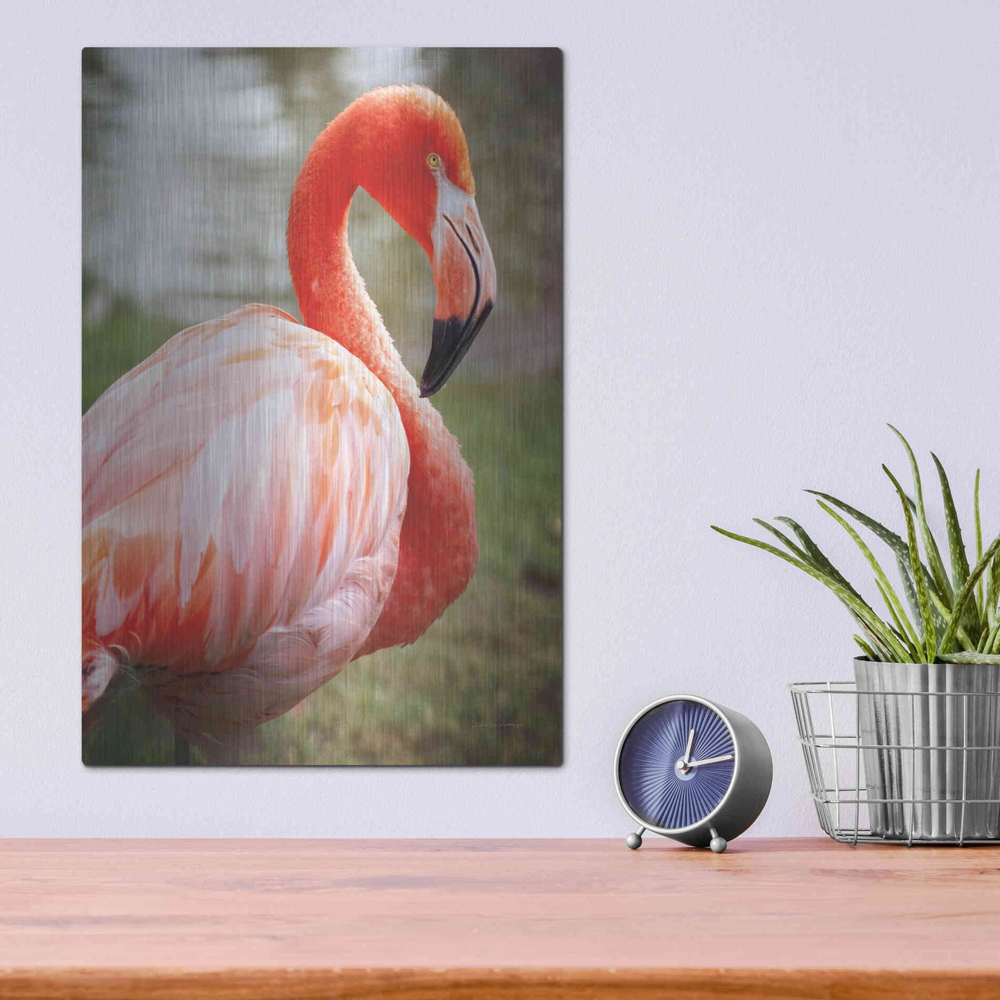 Luxe Metal Art 'Flamingo I' by Debra Van Swearingen, Metal Wall Art,12x16