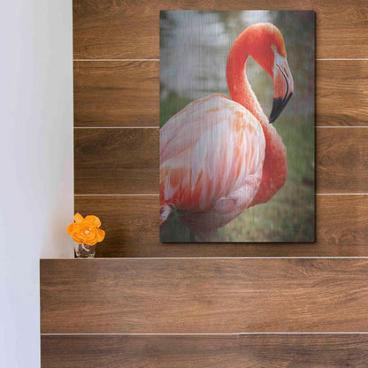 Luxe Metal Art 'Flamingo I' by Debra Van Swearingen, Metal Wall Art,12x16