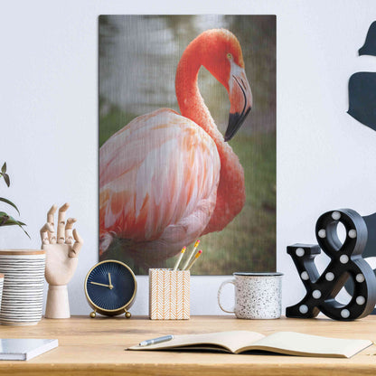 Luxe Metal Art 'Flamingo I' by Debra Van Swearingen, Metal Wall Art,12x16