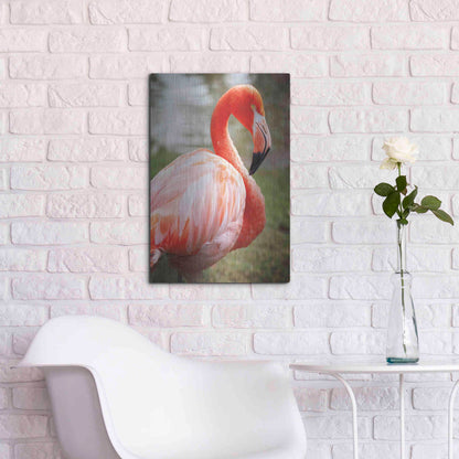 Luxe Metal Art 'Flamingo I' by Debra Van Swearingen, Metal Wall Art,16x24