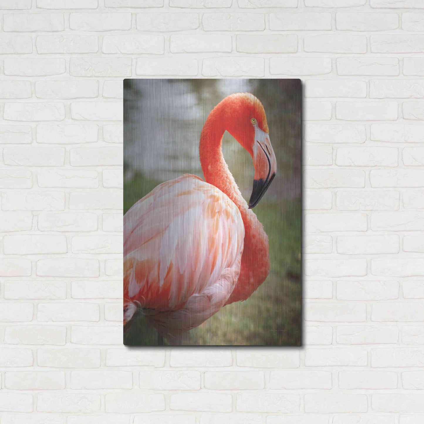 Luxe Metal Art 'Flamingo I' by Debra Van Swearingen, Metal Wall Art,24x36