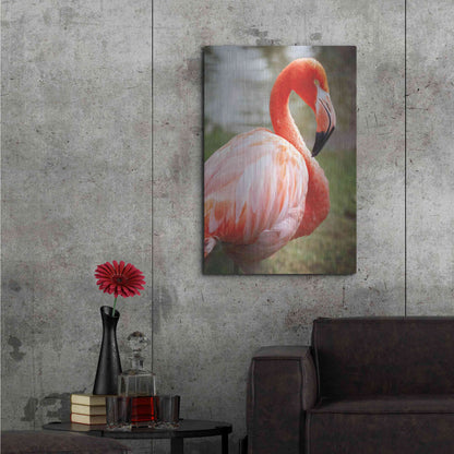 Luxe Metal Art 'Flamingo I' by Debra Van Swearingen, Metal Wall Art,24x36