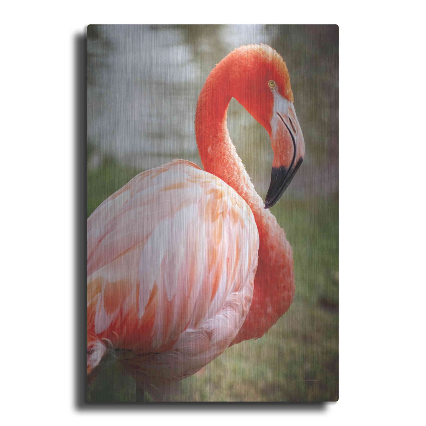 Luxe Metal Art 'Flamingo I' by Debra Van Swearingen, Metal Wall Art