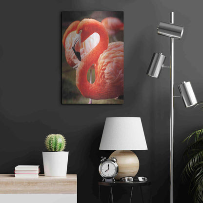 Luxe Metal Art 'Flamingo III' by Debra Van Swearingen, Metal Wall Art,16x24