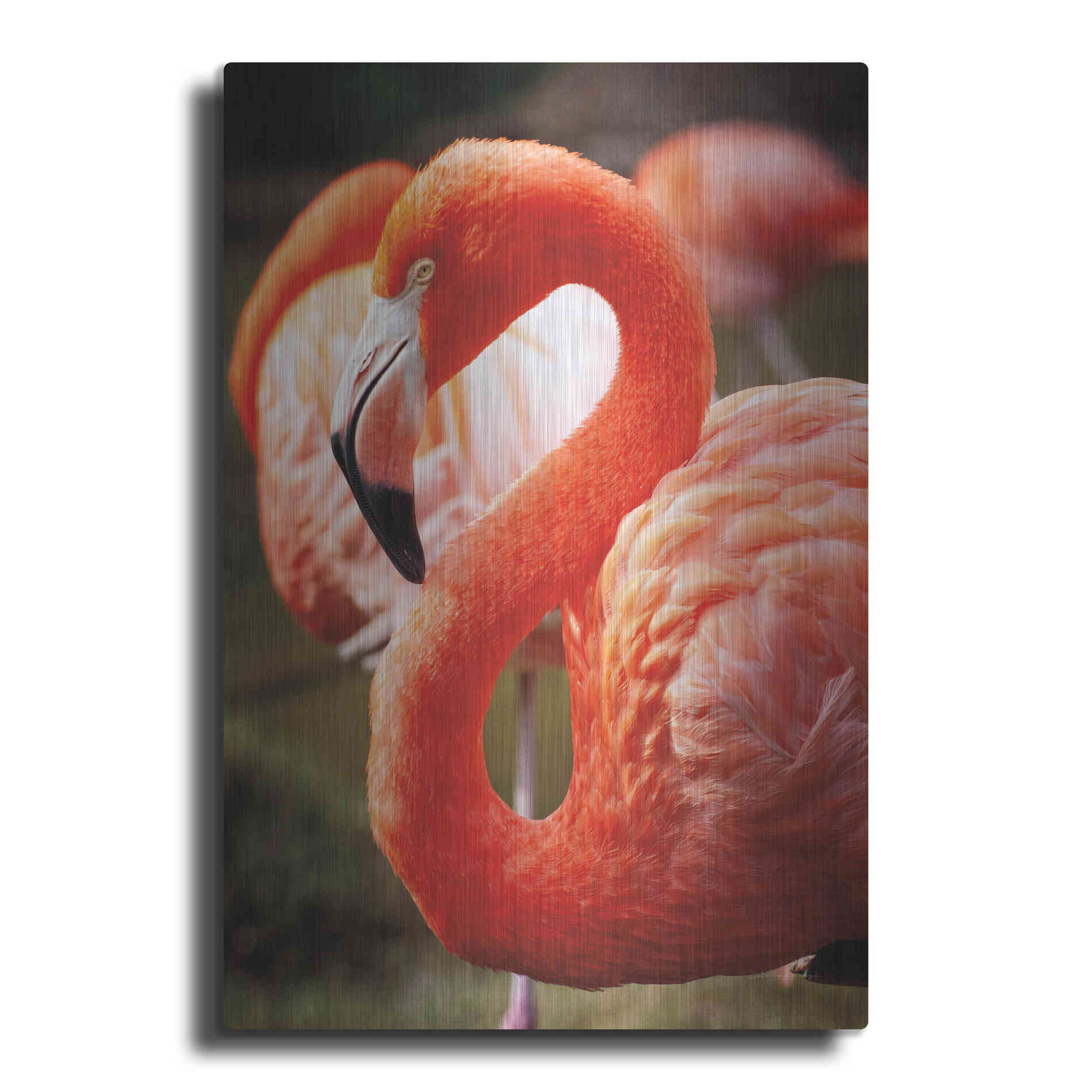 Luxe Metal Art 'Flamingo III' by Debra Van Swearingen, Metal Wall Art