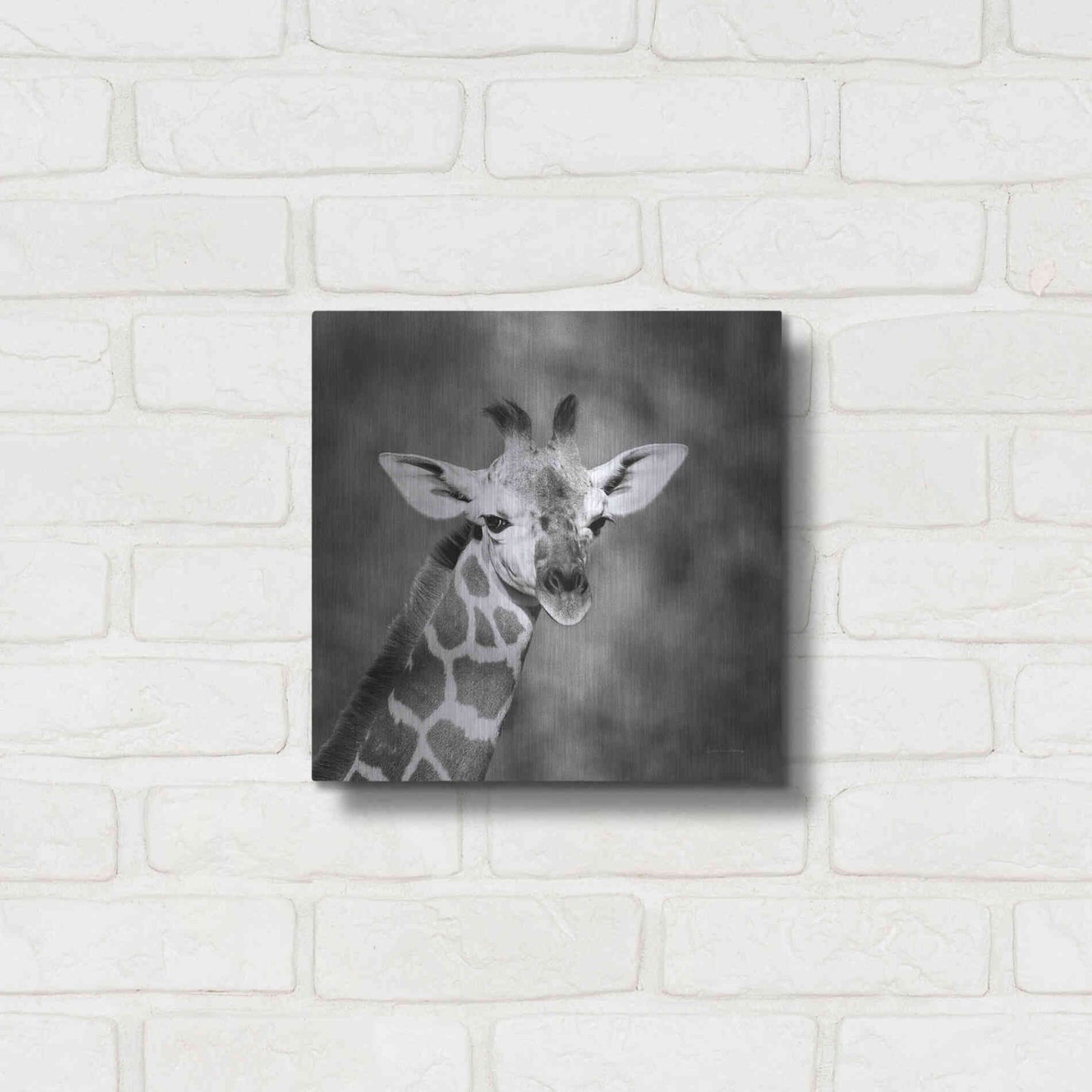 Luxe Metal Art 'Little Guy' by Debra Van Swearingen, Metal Wall Art,12x12