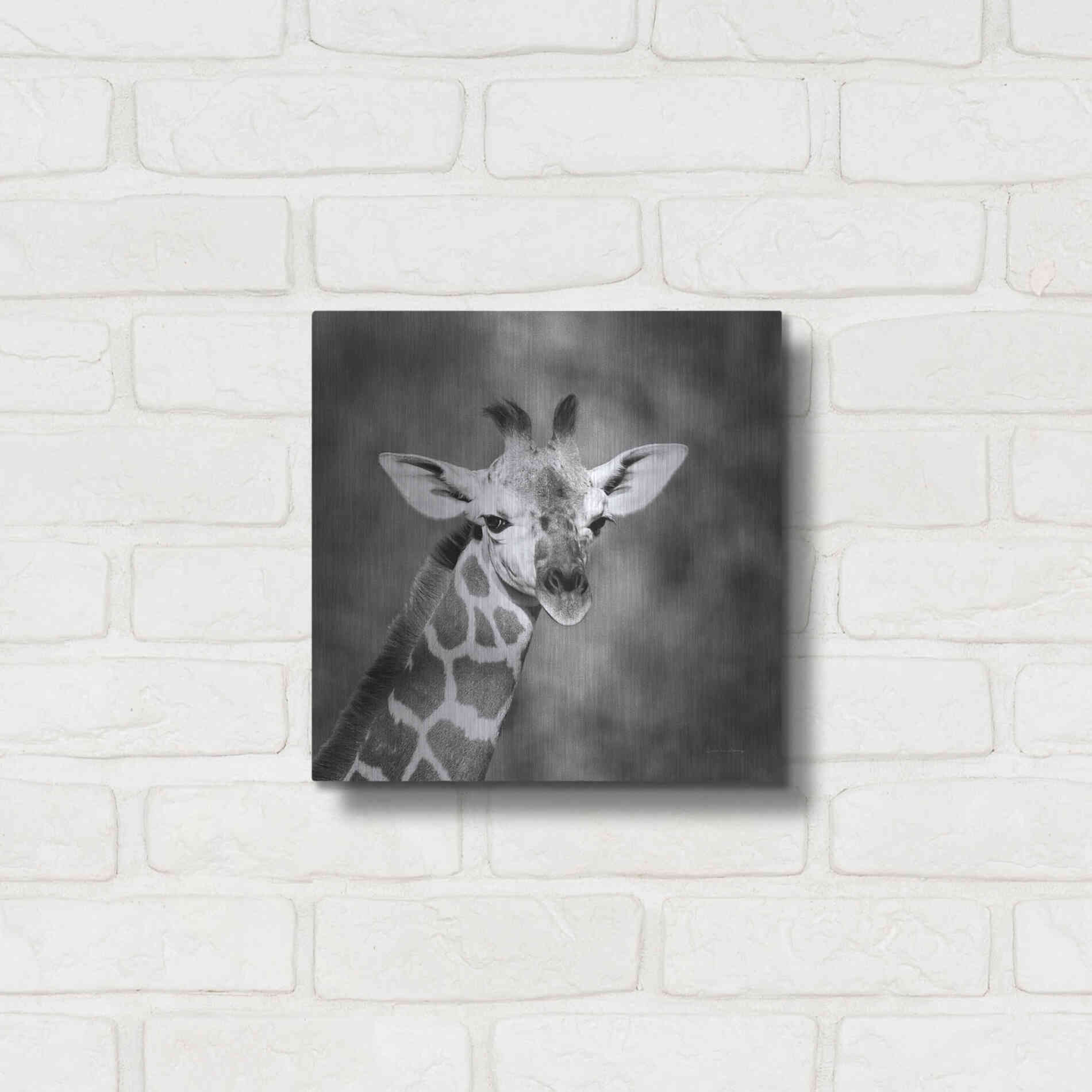 Luxe Metal Art 'Little Guy' by Debra Van Swearingen, Metal Wall Art,12x12