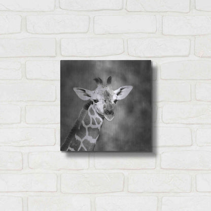 Luxe Metal Art 'Little Guy' by Debra Van Swearingen, Metal Wall Art,12x12