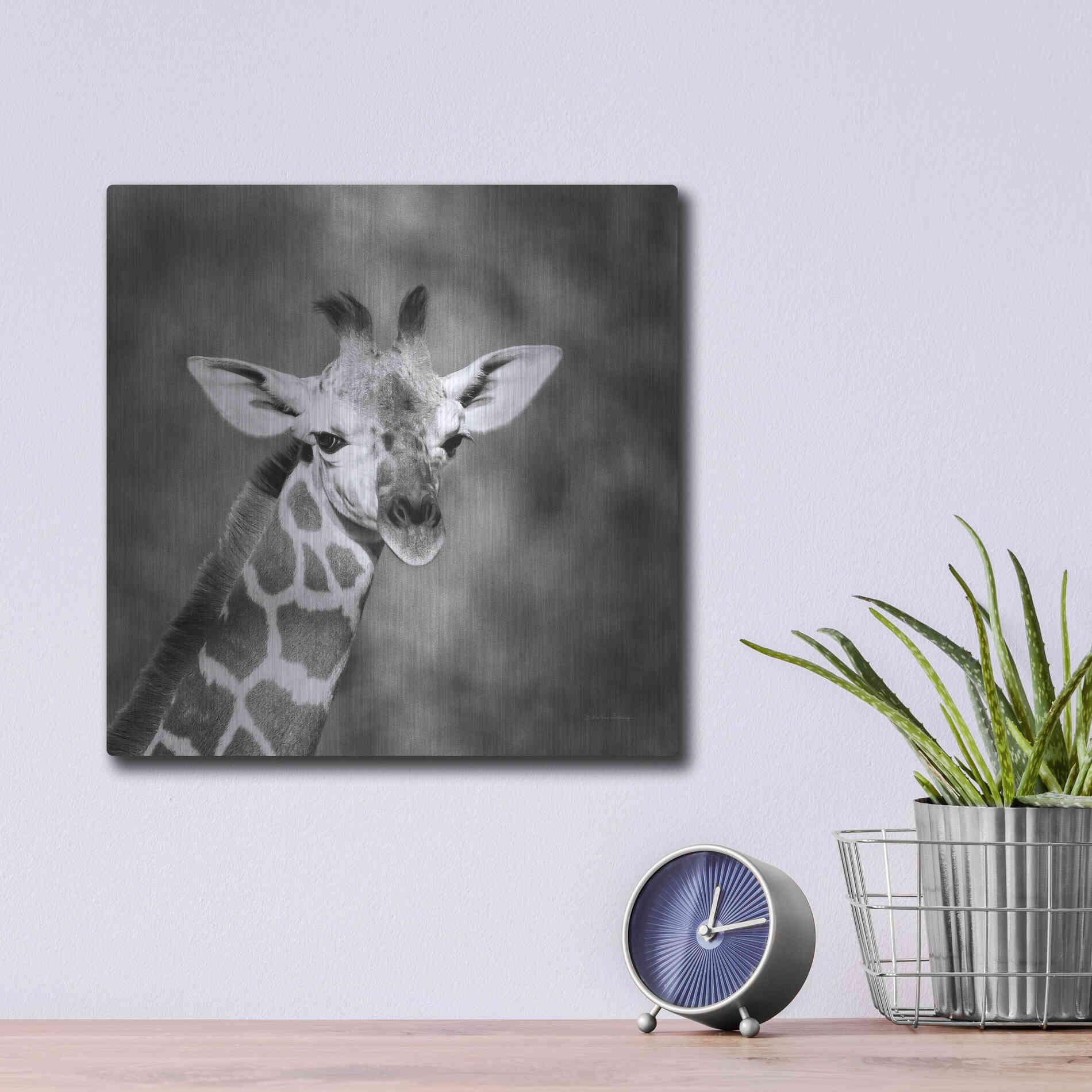 Luxe Metal Art 'Little Guy' by Debra Van Swearingen, Metal Wall Art,12x12