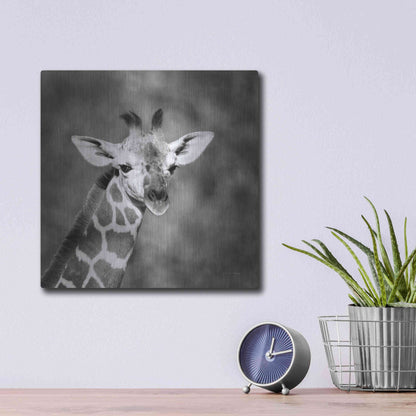Luxe Metal Art 'Little Guy' by Debra Van Swearingen, Metal Wall Art,12x12