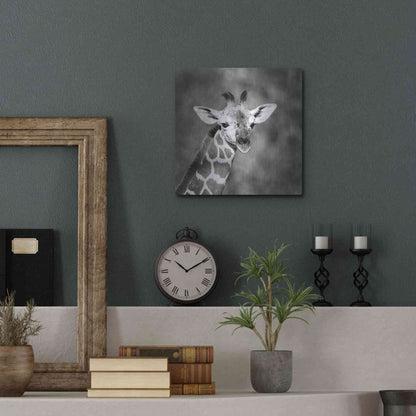 Luxe Metal Art 'Little Guy' by Debra Van Swearingen, Metal Wall Art,12x12