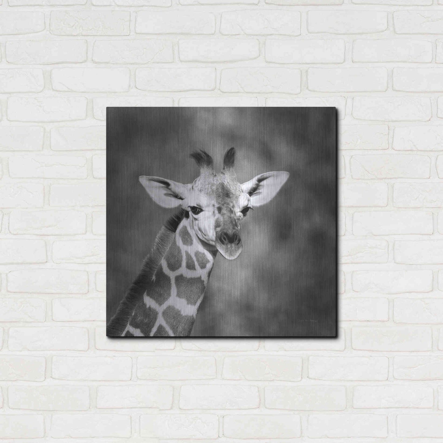 Luxe Metal Art 'Little Guy' by Debra Van Swearingen, Metal Wall Art,24x24
