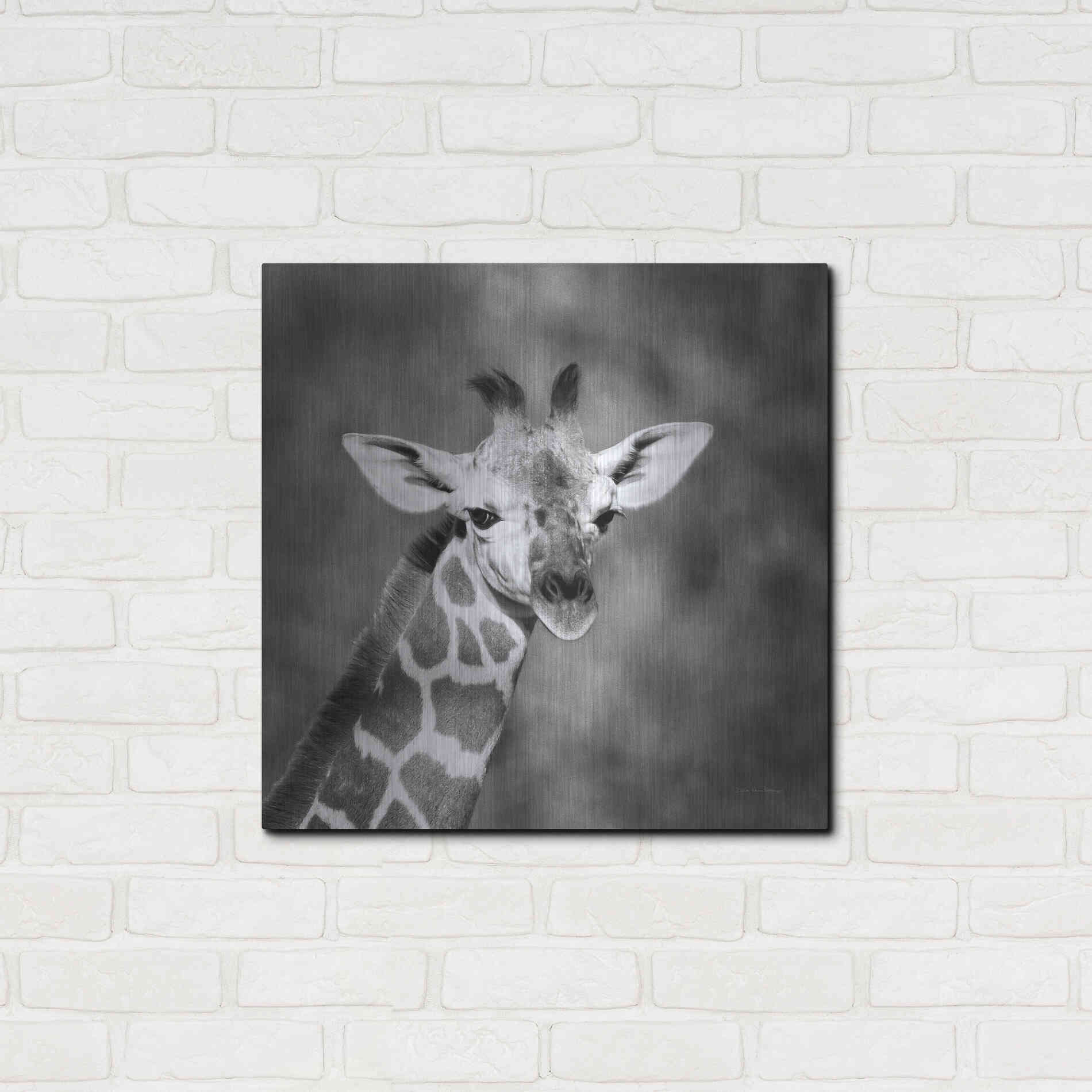 Luxe Metal Art 'Little Guy' by Debra Van Swearingen, Metal Wall Art,24x24