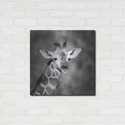 Luxe Metal Art 'Little Guy' by Debra Van Swearingen, Metal Wall Art,24x24