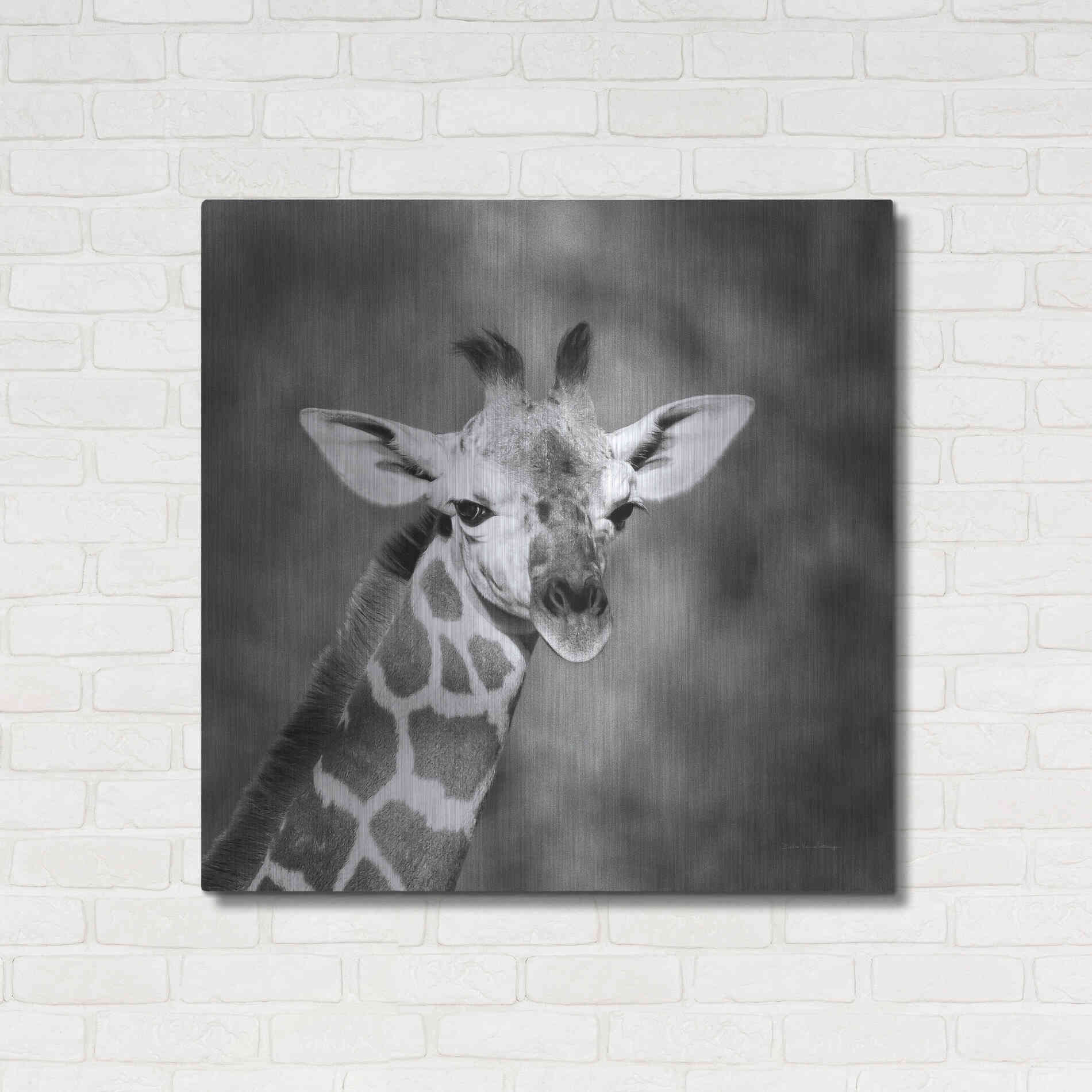 Luxe Metal Art 'Little Guy' by Debra Van Swearingen, Metal Wall Art,36x36