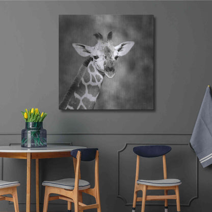 Luxe Metal Art 'Little Guy' by Debra Van Swearingen, Metal Wall Art,36x36