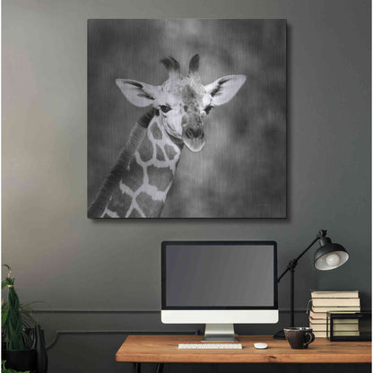 Luxe Metal Art 'Little Guy' by Debra Van Swearingen, Metal Wall Art,36x36