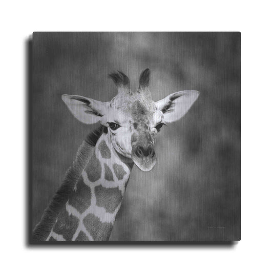 Luxe Metal Art 'Little Guy' by Debra Van Swearingen, Metal Wall Art