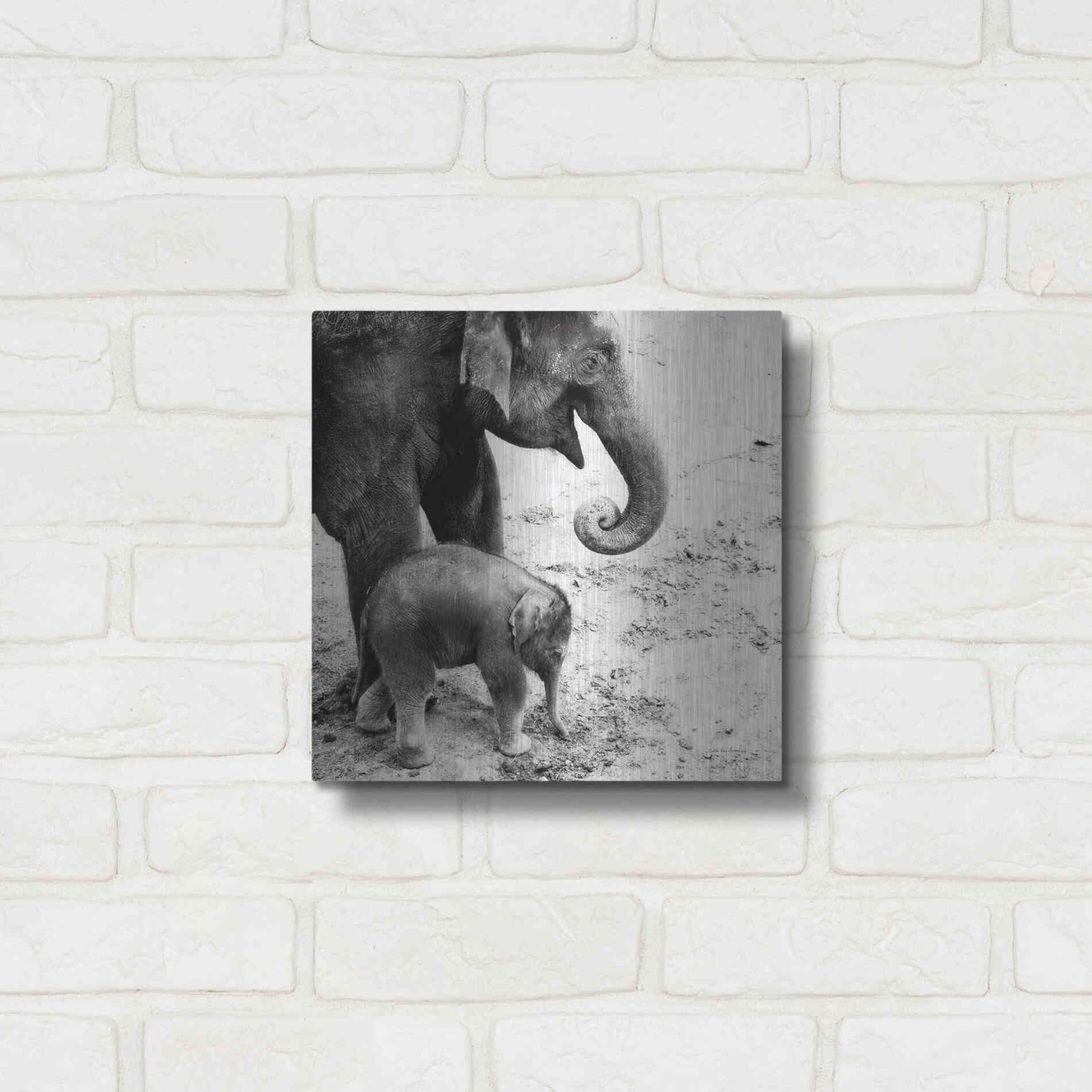 Luxe Metal Art 'Mother and Daughter' by Debra Van Swearingen, Metal Wall Art,12x12