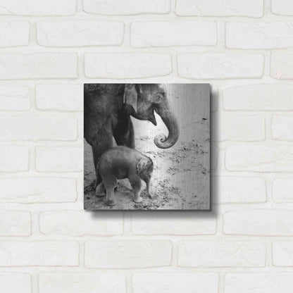 Luxe Metal Art 'Mother and Daughter' by Debra Van Swearingen, Metal Wall Art,12x12