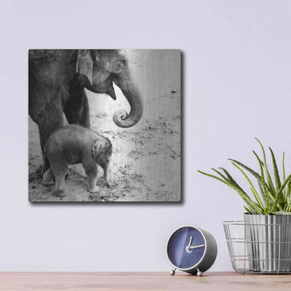 Luxe Metal Art 'Mother and Daughter' by Debra Van Swearingen, Metal Wall Art,12x12