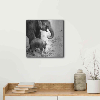 Luxe Metal Art 'Mother and Daughter' by Debra Van Swearingen, Metal Wall Art,12x12