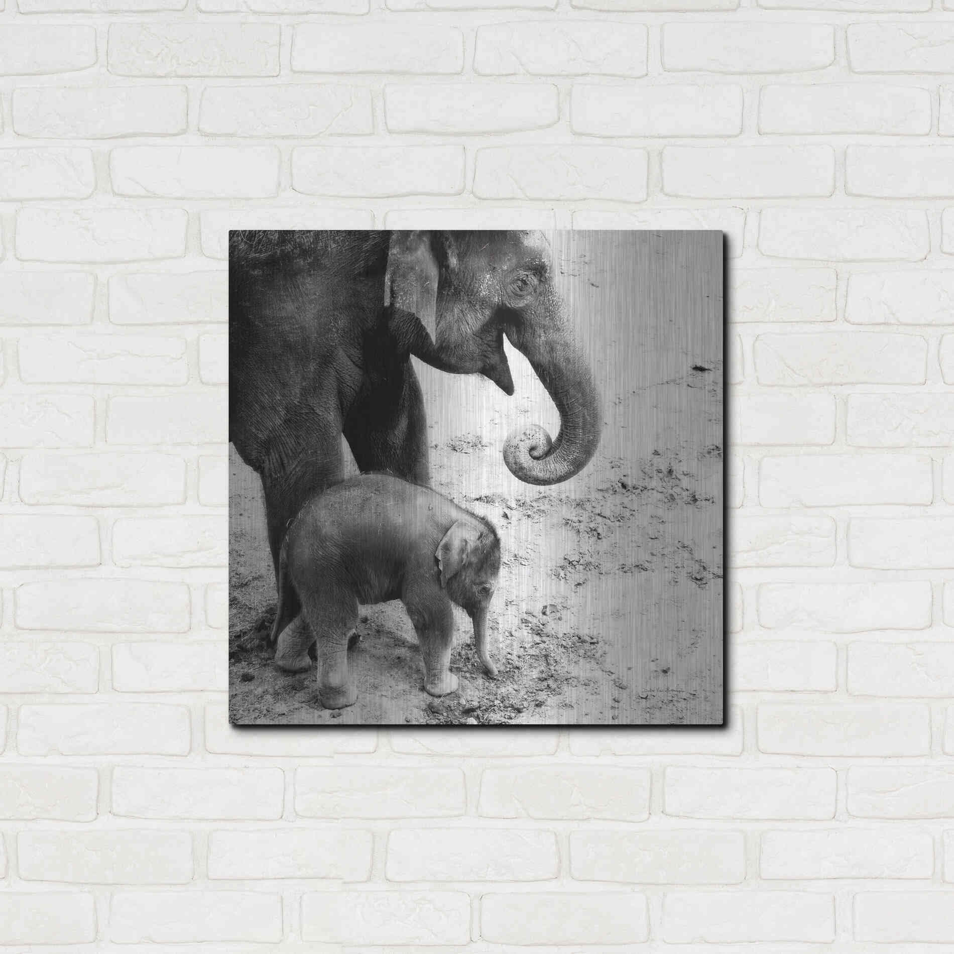 Luxe Metal Art 'Mother and Daughter' by Debra Van Swearingen, Metal Wall Art,24x24