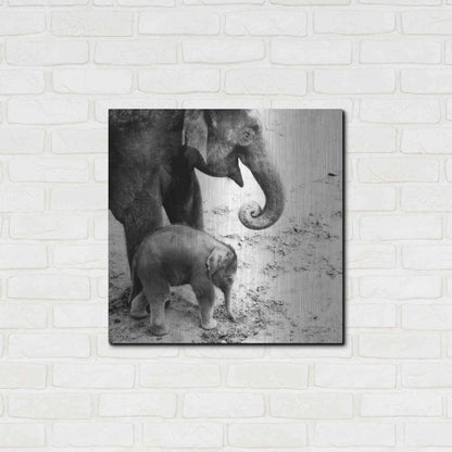 Luxe Metal Art 'Mother and Daughter' by Debra Van Swearingen, Metal Wall Art,24x24