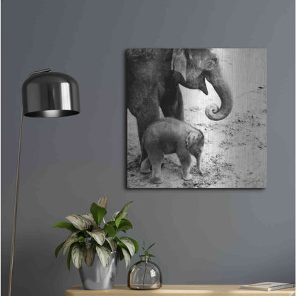 Luxe Metal Art 'Mother and Daughter' by Debra Van Swearingen, Metal Wall Art,24x24