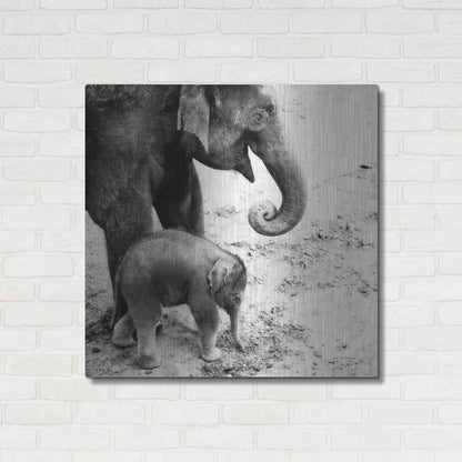 Luxe Metal Art 'Mother and Daughter' by Debra Van Swearingen, Metal Wall Art,36x36