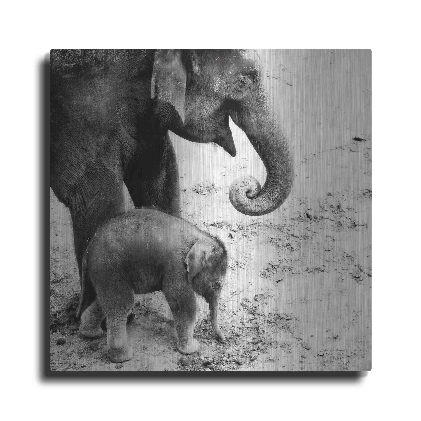 Luxe Metal Art 'Mother and Daughter' by Debra Van Swearingen, Metal Wall Art