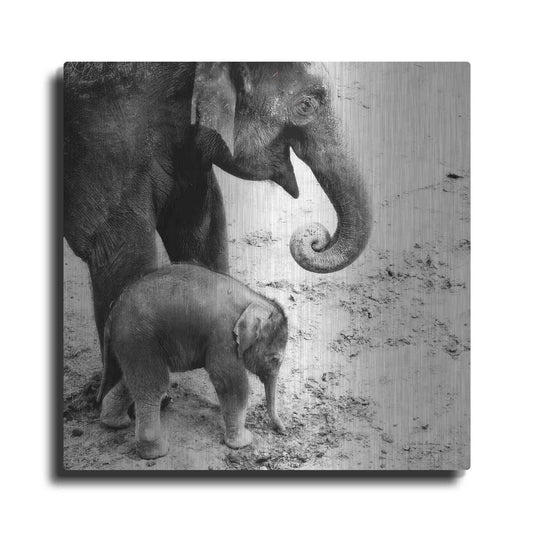 Luxe Metal Art 'Mother and Daughter' by Debra Van Swearingen, Metal Wall Art