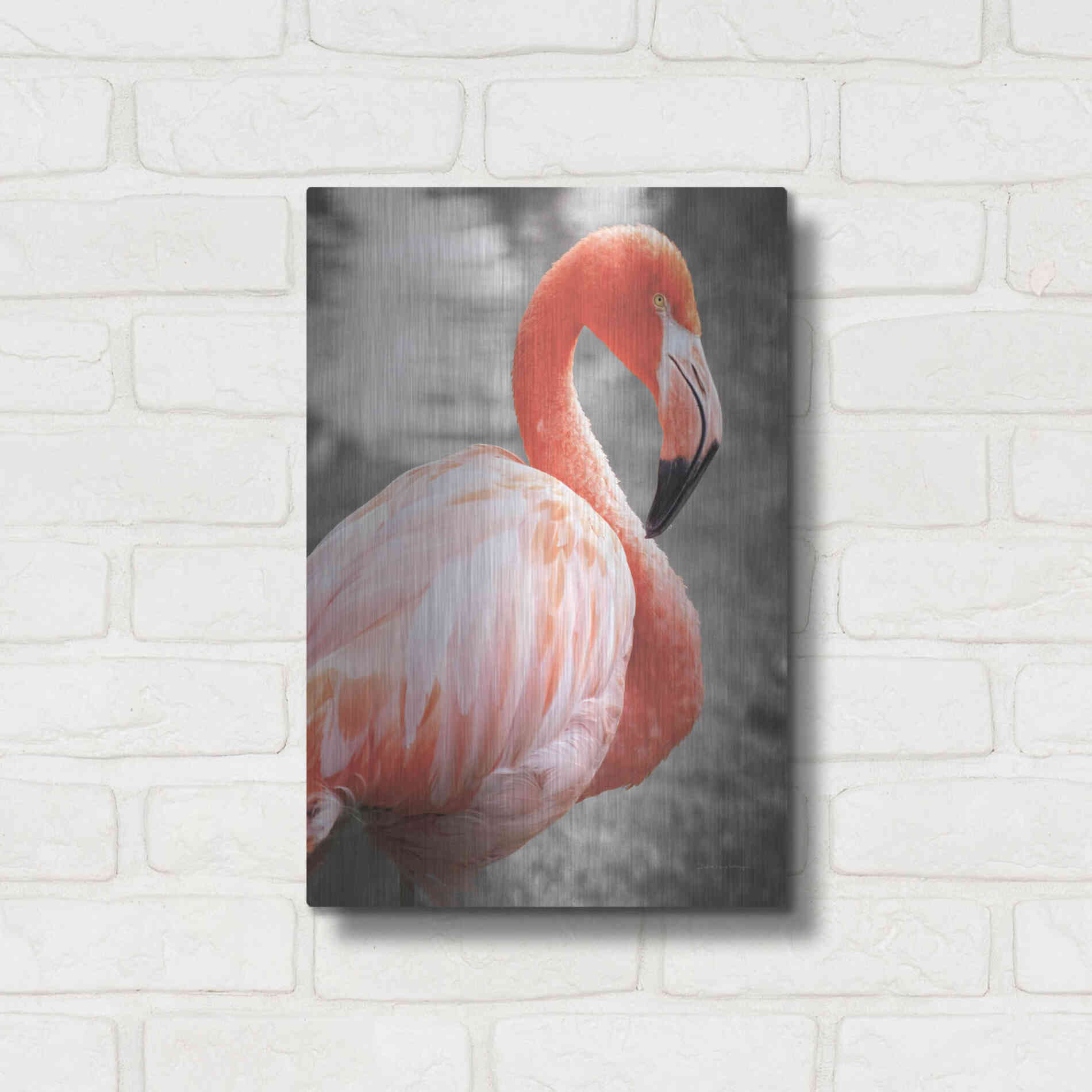 Luxe Metal Art 'Flamingo I on BW' by Debra Van Swearingen, Metal Wall Art,12x16