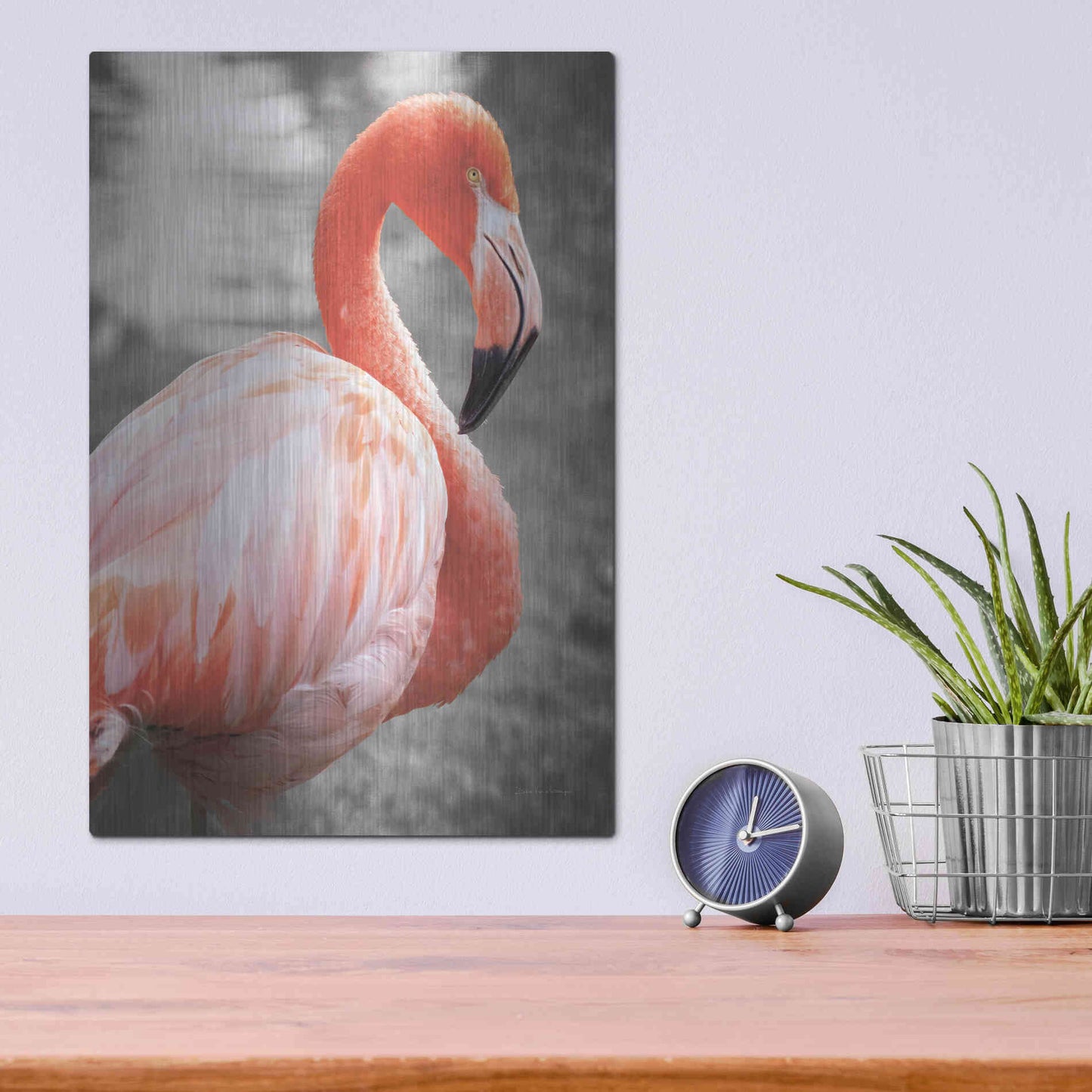 Luxe Metal Art 'Flamingo I on BW' by Debra Van Swearingen, Metal Wall Art,12x16