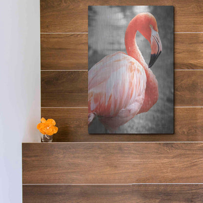 Luxe Metal Art 'Flamingo I on BW' by Debra Van Swearingen, Metal Wall Art,12x16