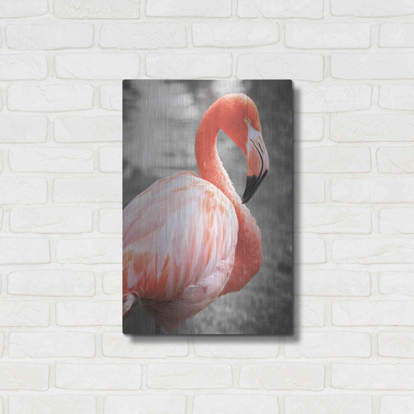 Luxe Metal Art 'Flamingo I on BW' by Debra Van Swearingen, Metal Wall Art,16x24