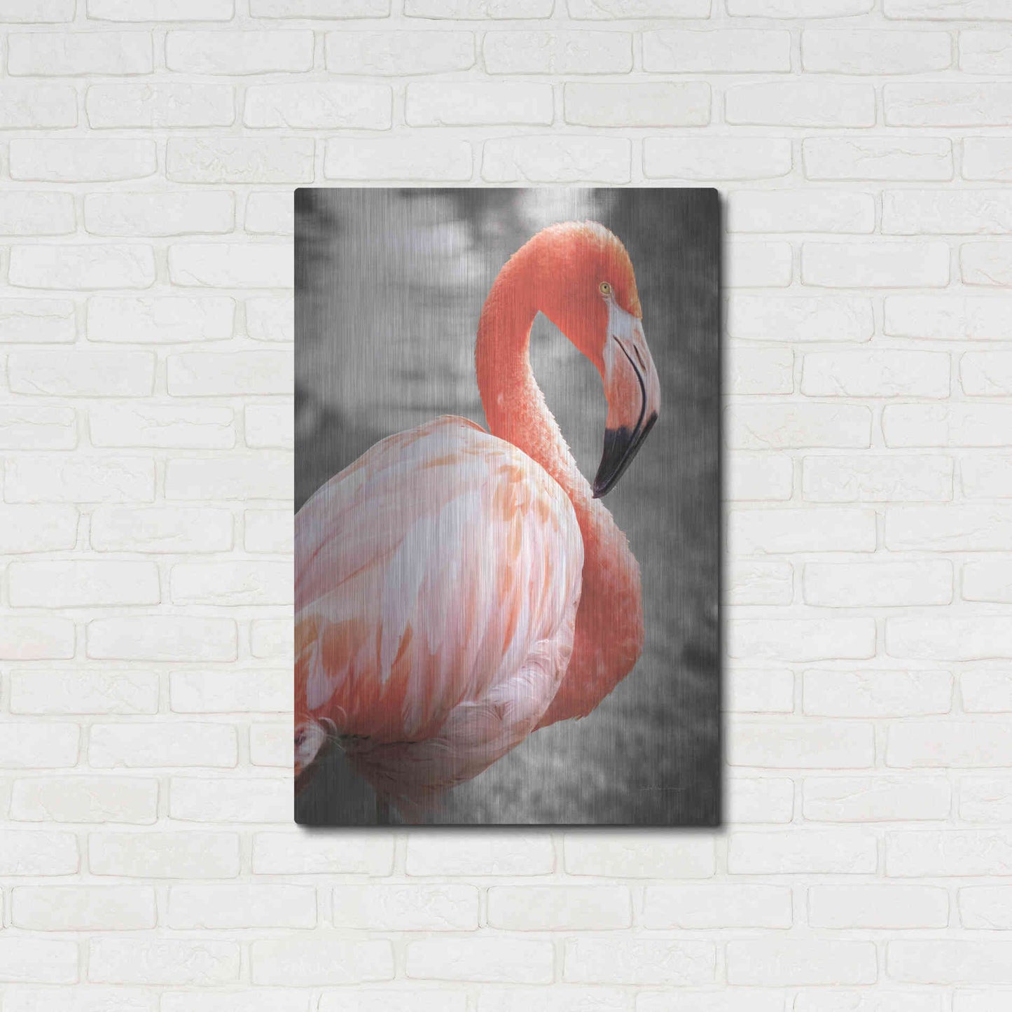 Luxe Metal Art 'Flamingo I on BW' by Debra Van Swearingen, Metal Wall Art,24x36