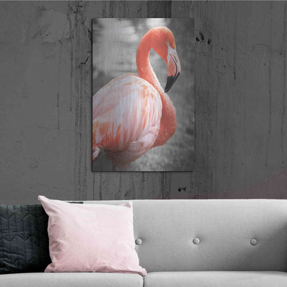 Luxe Metal Art 'Flamingo I on BW' by Debra Van Swearingen, Metal Wall Art,24x36