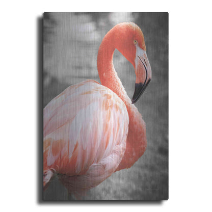 Luxe Metal Art 'Flamingo I on BW' by Debra Van Swearingen, Metal Wall Art