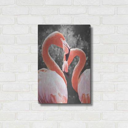 Luxe Metal Art 'Flamingo II on BW' by Debra Van Swearingen, Metal Wall Art,16x24