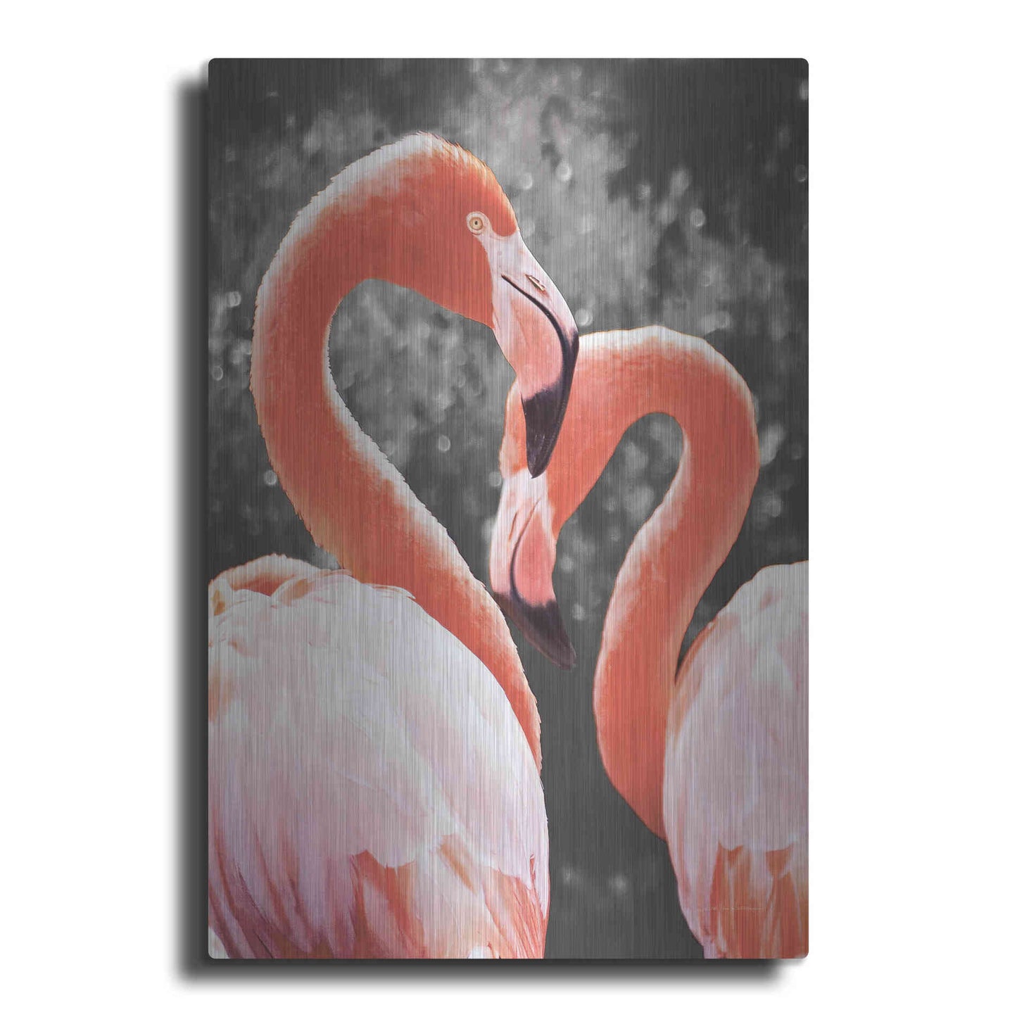 Luxe Metal Art 'Flamingo II on BW' by Debra Van Swearingen, Metal Wall Art