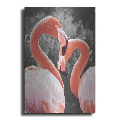 Luxe Metal Art 'Flamingo II on BW' by Debra Van Swearingen, Metal Wall Art