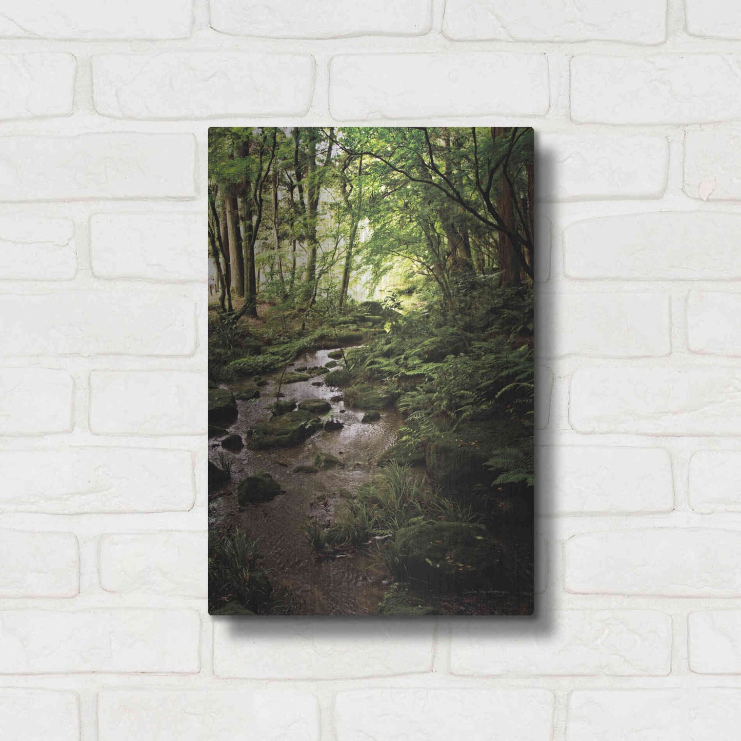 Luxe Metal Art 'Lush Creek in Forest' by Debra Van Swearingen, Metal Wall Art,12x16