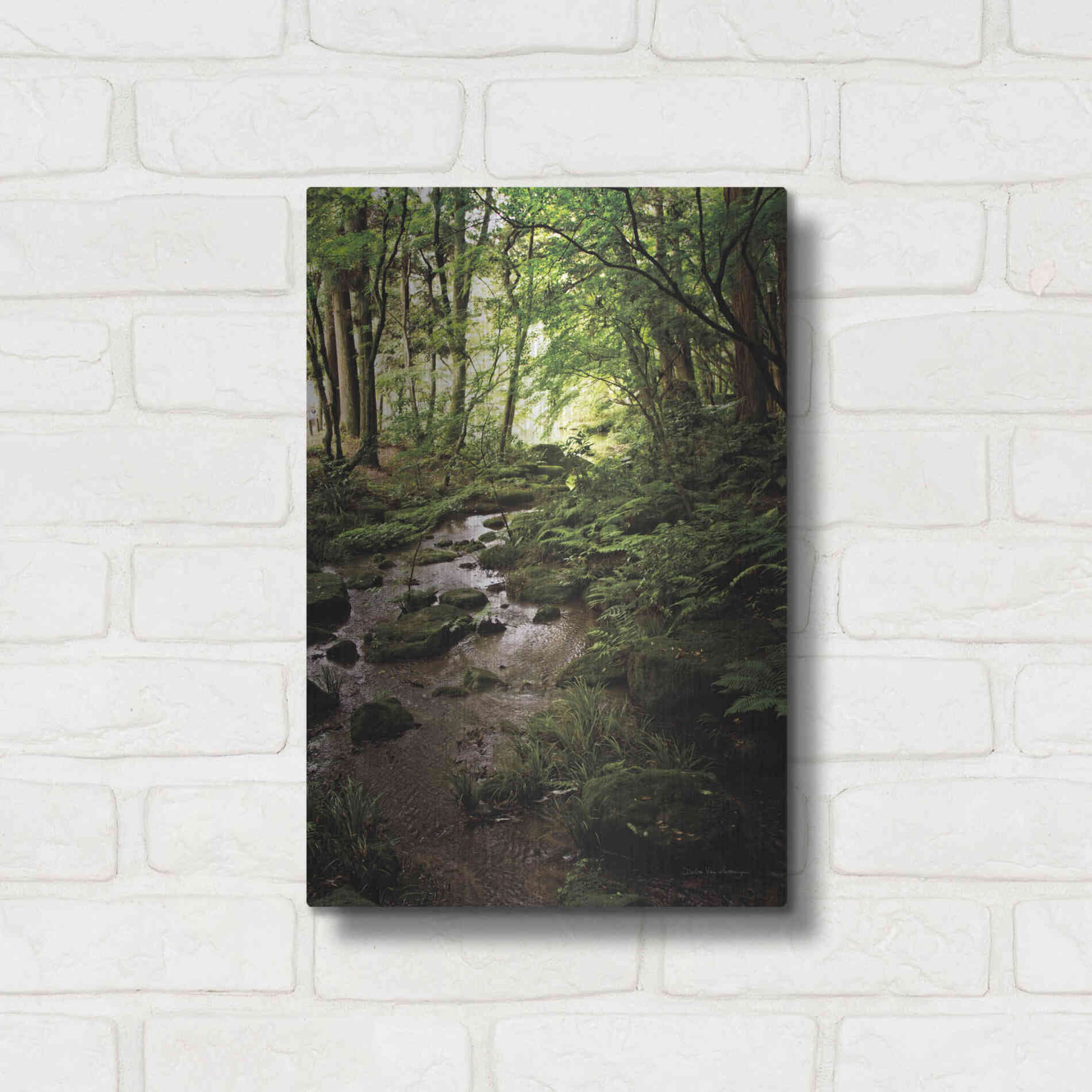 Luxe Metal Art 'Lush Creek in Forest' by Debra Van Swearingen, Metal Wall Art,12x16